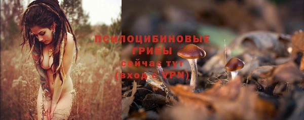 прущие крисы Приозерск