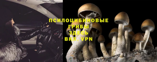 твердый Пролетарск